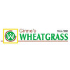 Girmes Wheatgrass