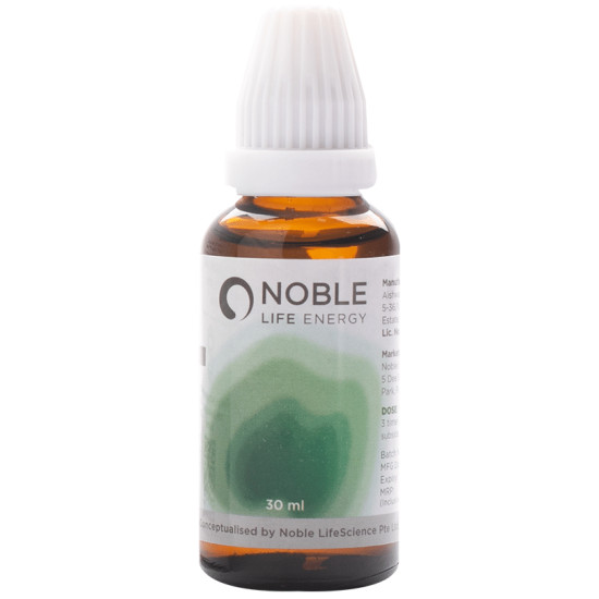 Noble Life Energy E41 Dyspep Indigestion, Gas and Acidity Drop image