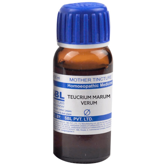 SBL Teucrium Marum Verum Mother Tincture Q image