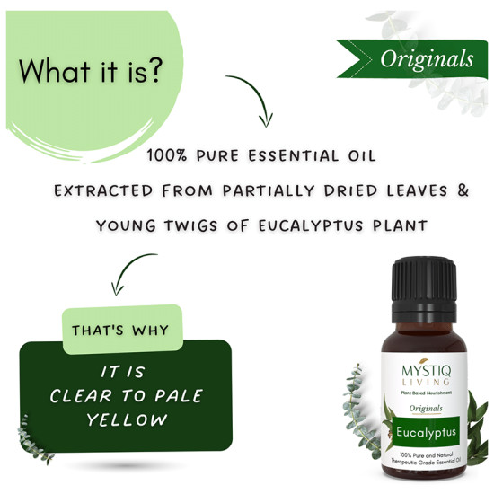 Mystiq Living Originals Therapeutic Grade Essential Oil Eucalyptus image