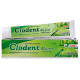 Hapdco Clodent Neem Dental Cream image