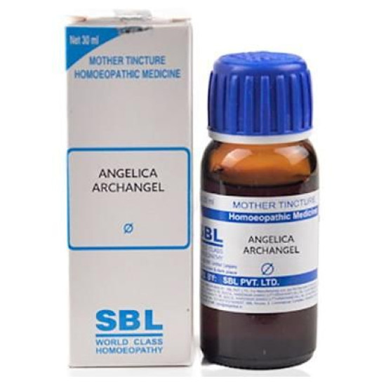 SBL Angelica Archangelica Mother Tincture Q image