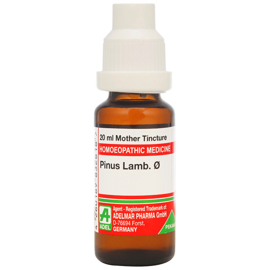 ADEL Pinus Lamb. Mother Tincture Q image