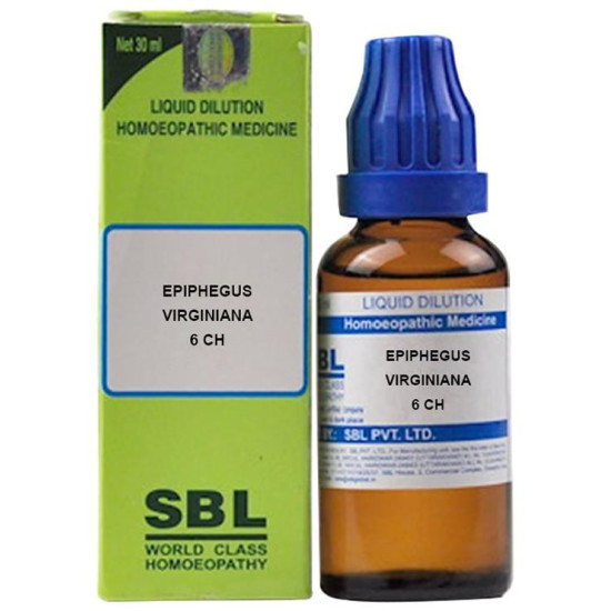 SBL Epiphegus Virginiana Dilution 6 CH image