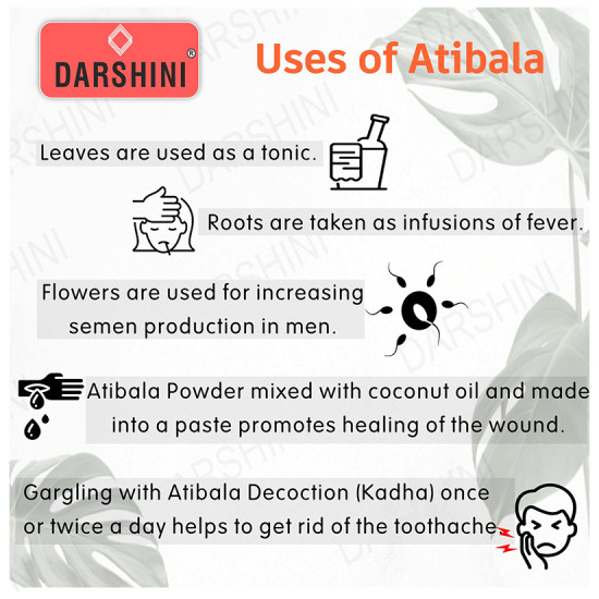 Darshini Atibala / Kangi / Indian Mallow / Thuthi / Abutilon Indicum Powder image