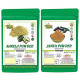 BHPI Bharat Combo Pack of Karela Powder & Jamun Powder (200gm Each) image