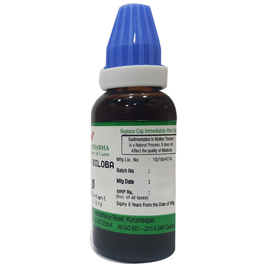 Hering Pharma Ginkgo Biloba Mother Tincture Q image