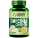 Himalayan Organics Garcinia Cambogia Vegetarian Capsule image