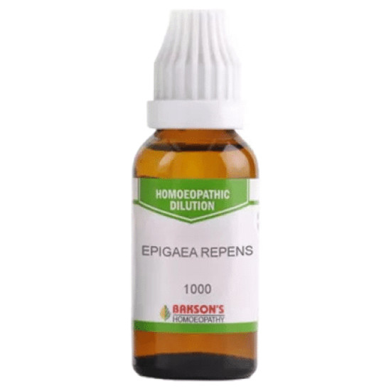 Bakson's Epigaea Repens Dilution 1000 CH image