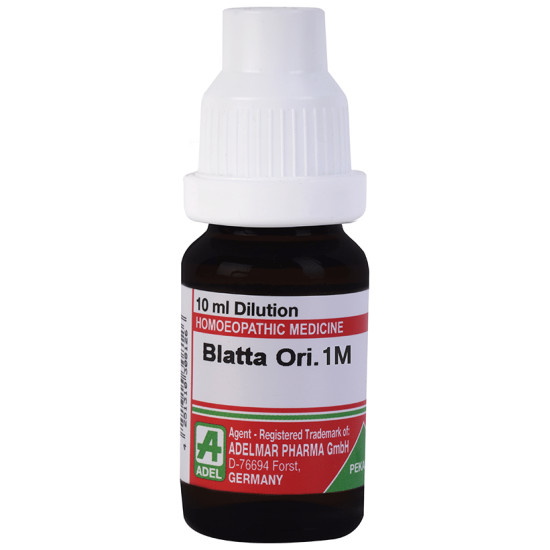 ADEL Blatta Ori. Dilution 1000 CH image