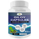 Fitness Prime Giloy Capsule Maximum Strength 800mg image