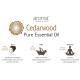 Aroma Treasures Cedarwood Pure Essential Oil image