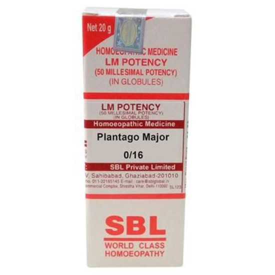 SBL Plantago Major 0/16 LM image