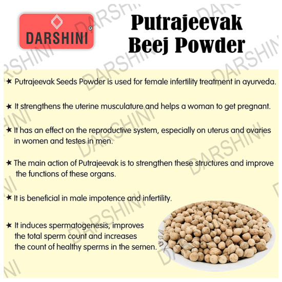 Darshini Putrajeevak Beej/Putrijivak Seed/Putra Jiva/Roxburghii Powder image