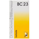 Dr. Reckeweg Bio-Combination 23 (BC 23) Tablet image