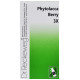 Dr. Reckeweg Phytolacca Berry Trituration Tablet 3X image