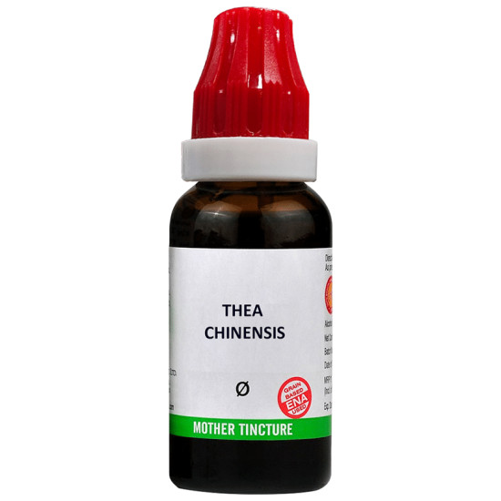 Bjain Thea Chinensis Mother Tincture Q image