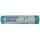 Boiron Argentum Nitricum Pellets 1M image