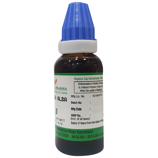 Hering Pharma Bryonia Alba Mother Tincture Q image