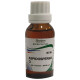 Bhargava Aspidosperma Q Mother Tincture image