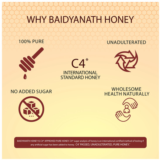 Baidyanath (Noida) Honey image