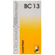 Dr. Reckeweg Bio-Combination 13 (BC 13) Tablet image