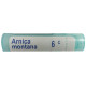 Boiron Arnica Montana Pellets 6C image