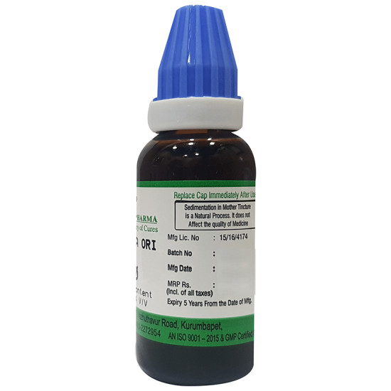 Hering Pharma Blatta Ori Mother Tincture Q image