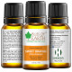 Bliss of Earth Sweet Orange Premium Essential Oil image