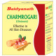 Baidyanath Charmrogari Ointment image