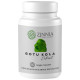 Zinnia Wellness Gotu Kola Extract Veggie Capsule image