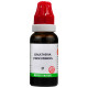 Bjain Gaultheria Procumbens Mother Tincture Q image