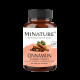 Minature Cinnamon Powder Capsule image