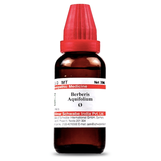 Dr Willmar Schwabe India Berberis Aquifolium Mother Tincture Q image