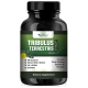 Veda Maxx Nutrition Tribulus Terrestris Extract 500mg Capsule image