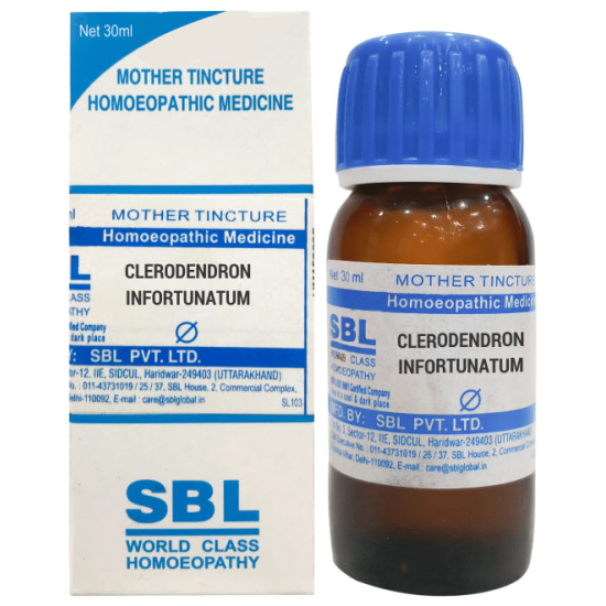 SBL Clerodendron Infortunatum Mother Tincture Q image