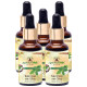 Aachman Veda Tulsi Drop with Giloy (30ml Each) image