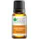 Bliss of Earth Sweet Orange Premium Essential Oil image