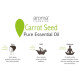 Aroma Treasures Carrot Seed Essential Oil image