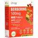 Origins Nutra Berberine 500mg Max Potency Veg Capsule image