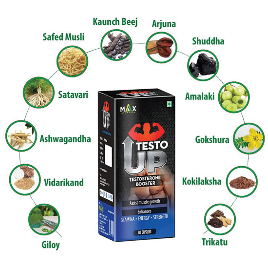 Max Ayurveda Testo Up Capsule image