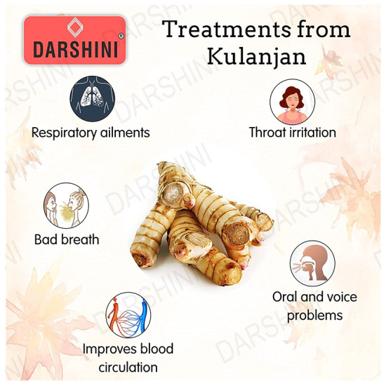 Darshini Kulanjan / Kulinjan / Galangal Root Powder image