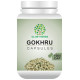 Globyherbs Gokhru Capsule image