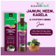 NourishVitals Jamun, Neem, Karela 11 Potent Herbs Juice image