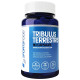 Sports Food Tribulus Terrestris Capsule image