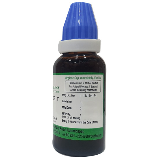 Hering Pharma Baptisia T Mother Tincture Q image