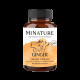 Minature Ginger Organic Capsule image