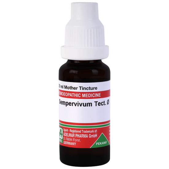 ADEL Sempervivum Tect Mother Tincture Q image