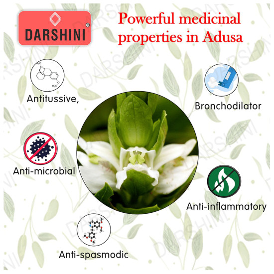 Darshini Kapur Kachri / Ekangi / Hedychium Spicatum / Spiked Ginger Lily Powder image