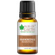 Bliss of Earth Frankincense Premium Essential Oil image